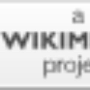 Sweaters, Sweatshirts and Hoodies of all kinds